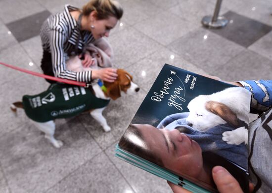 Акция "Обними друга перед полетом" в Домодедово