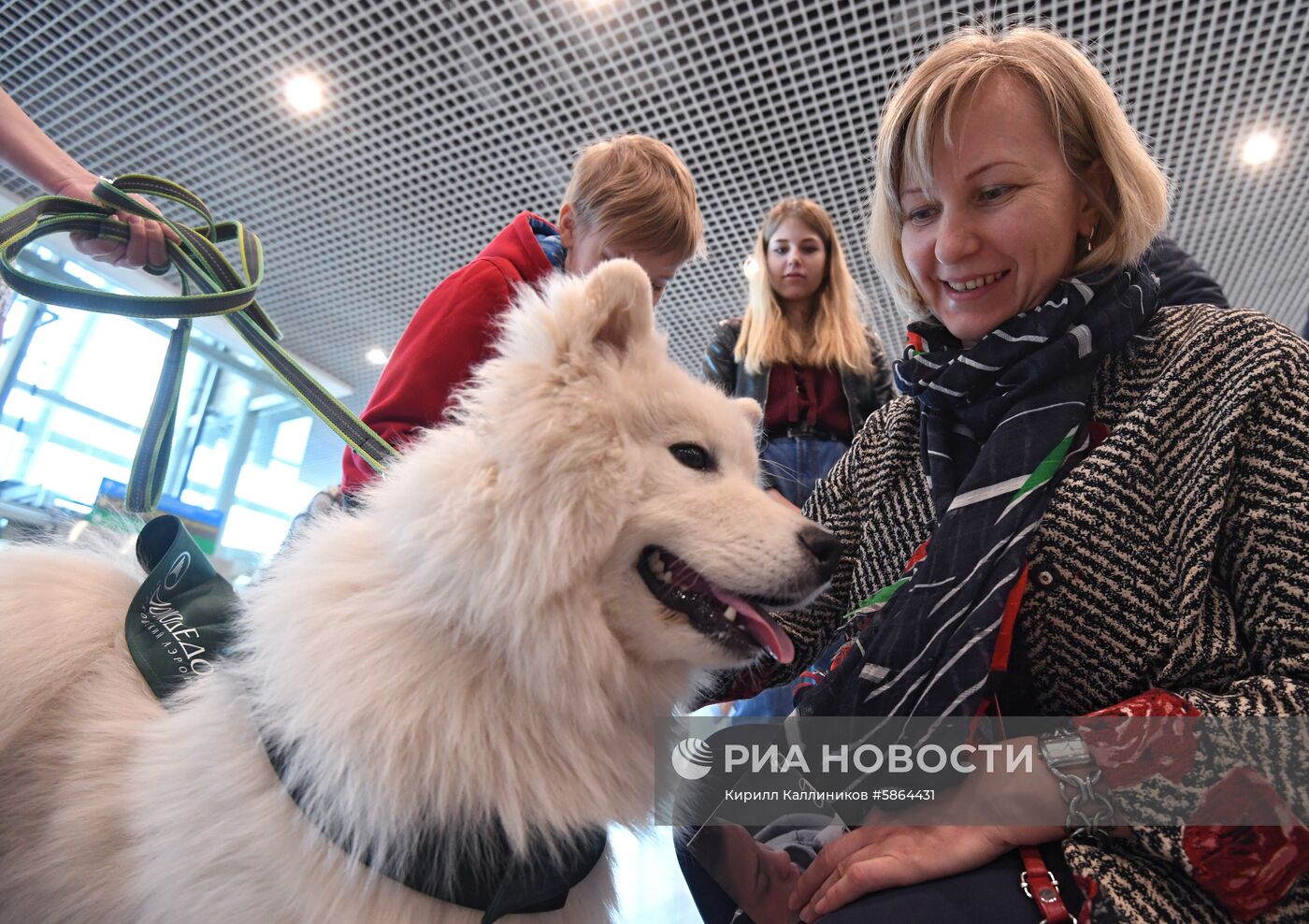 Акция "Обними друга перед полетом" в Домодедово