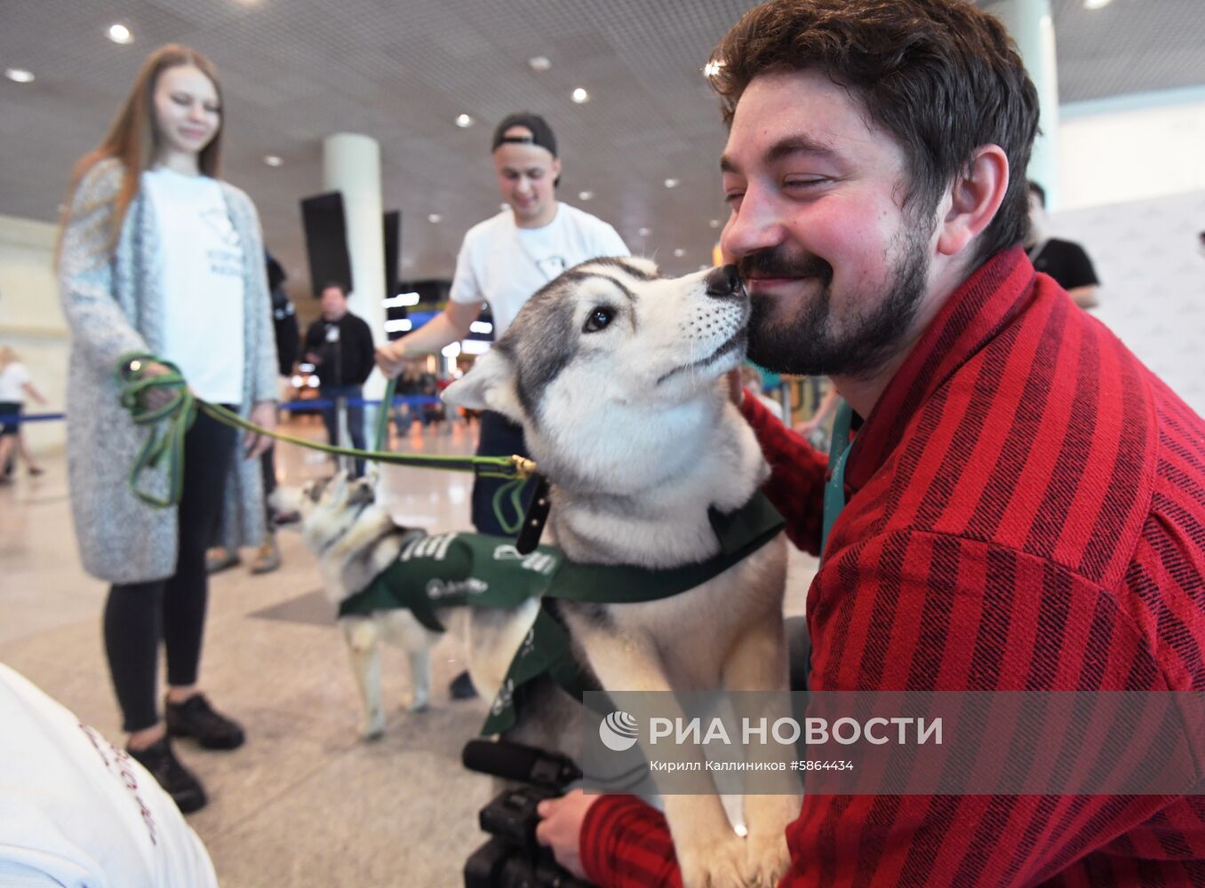 Акция "Обними друга перед полетом" в Домодедово