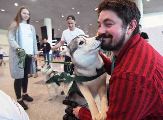 Акция "Обними друга перед полетом" в Домодедово