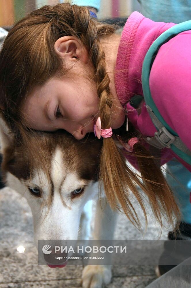 Акция "Обними друга перед полетом" в Домодедово