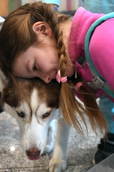 Акция "Обними друга перед полетом" в Домодедово