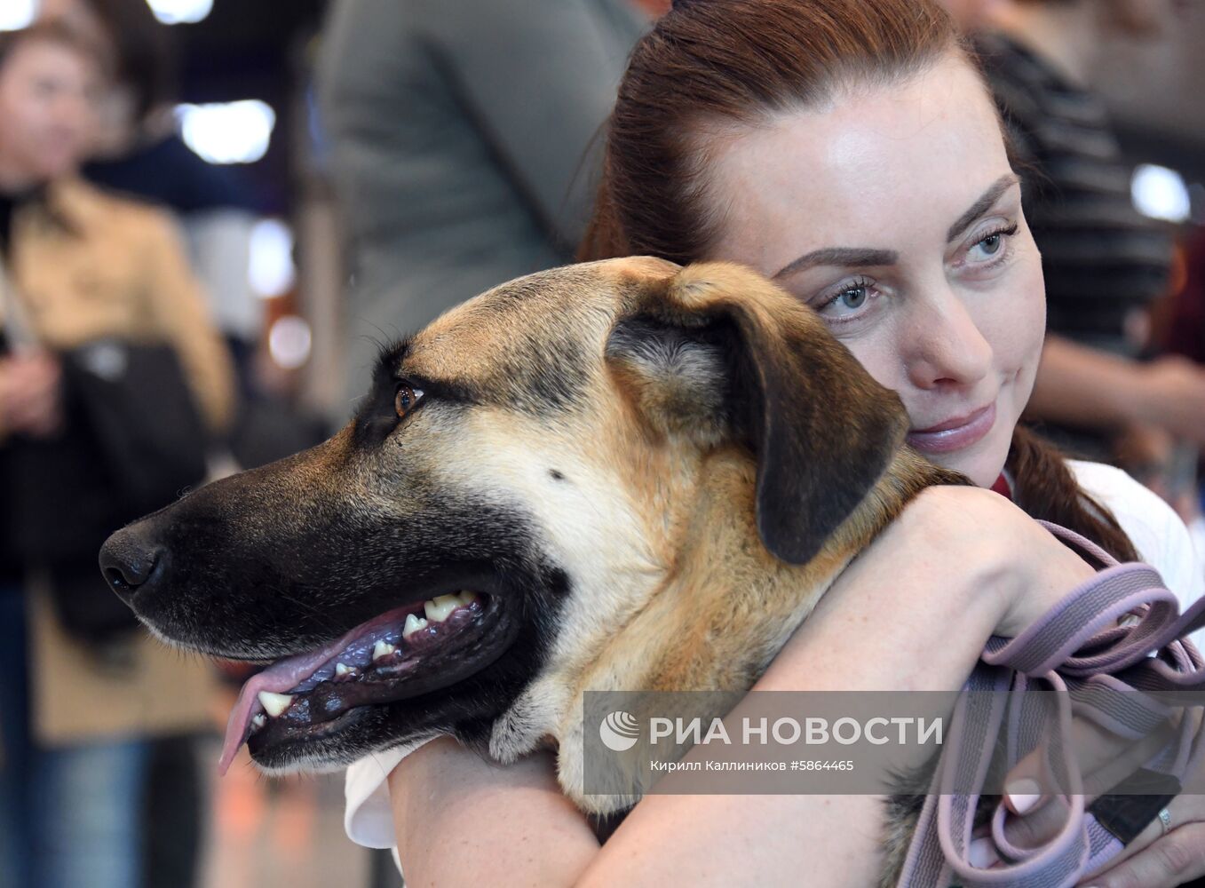 Акция "Обними друга перед полетом" в Домодедово