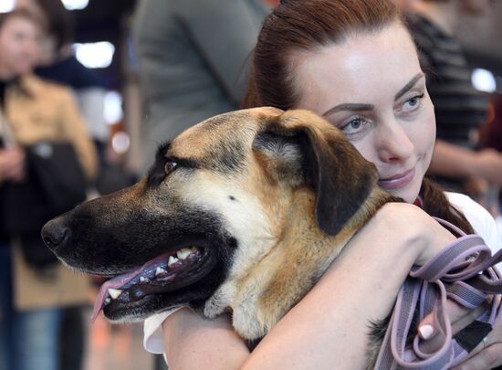 Акция "Обними друга перед полетом" в Домодедово