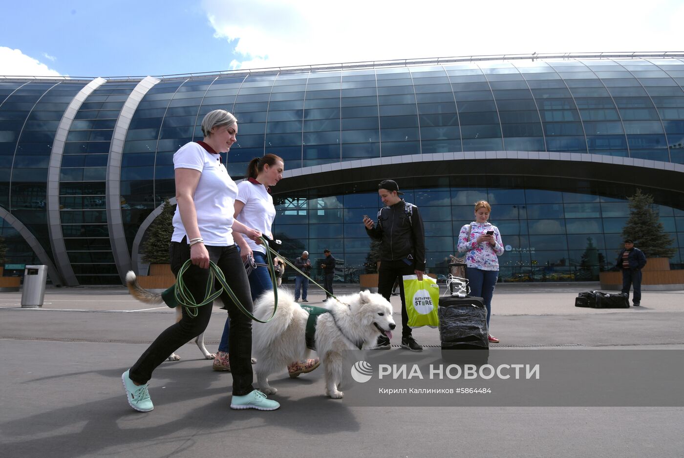 Акция "Обними друга перед полетом" в Домодедово