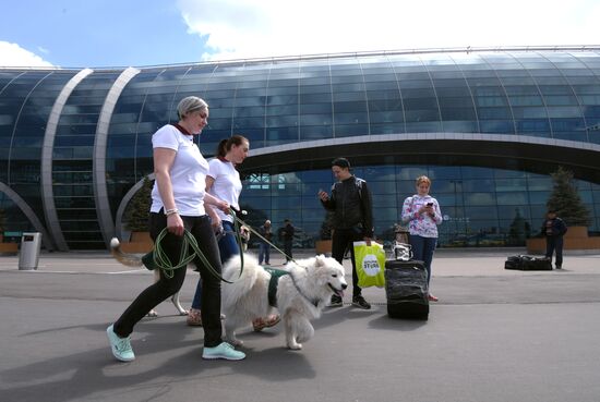 Акция "Обними друга перед полетом" в Домодедово