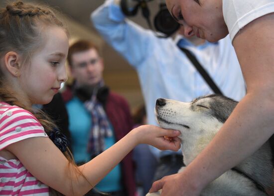 Акция "Обними друга перед полетом" в Домодедово