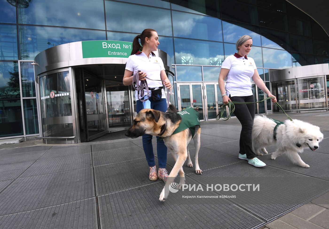 Акция "Обними друга перед полетом" в Домодедово