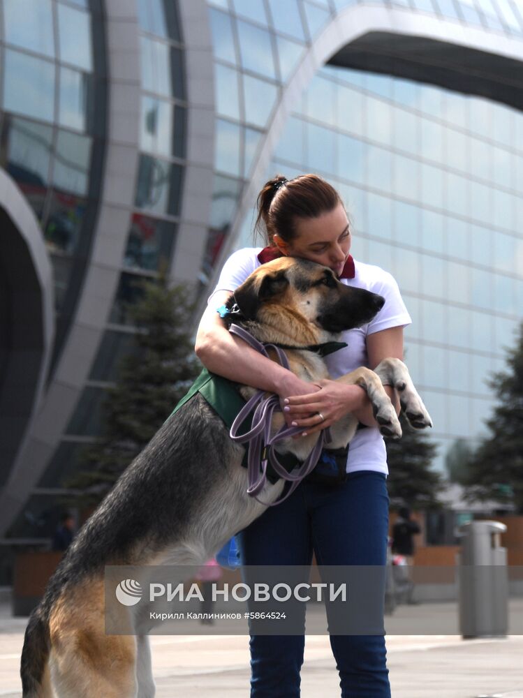 Акция "Обними друга перед полетом" в Домодедово