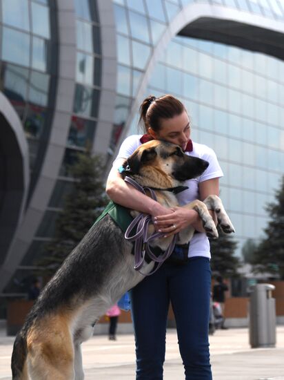 Акция "Обними друга перед полетом" в Домодедово