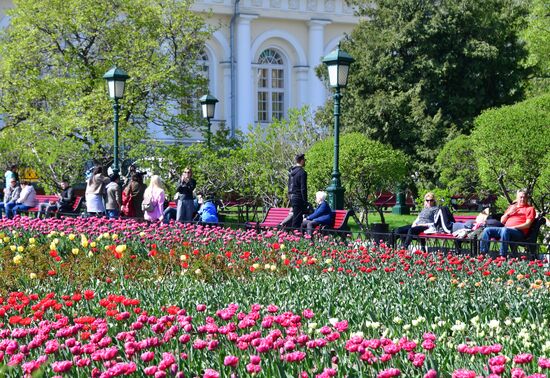 Весенняя Москва