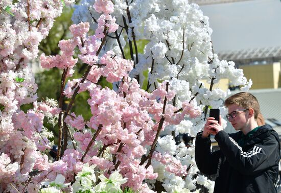 Весенняя Москва