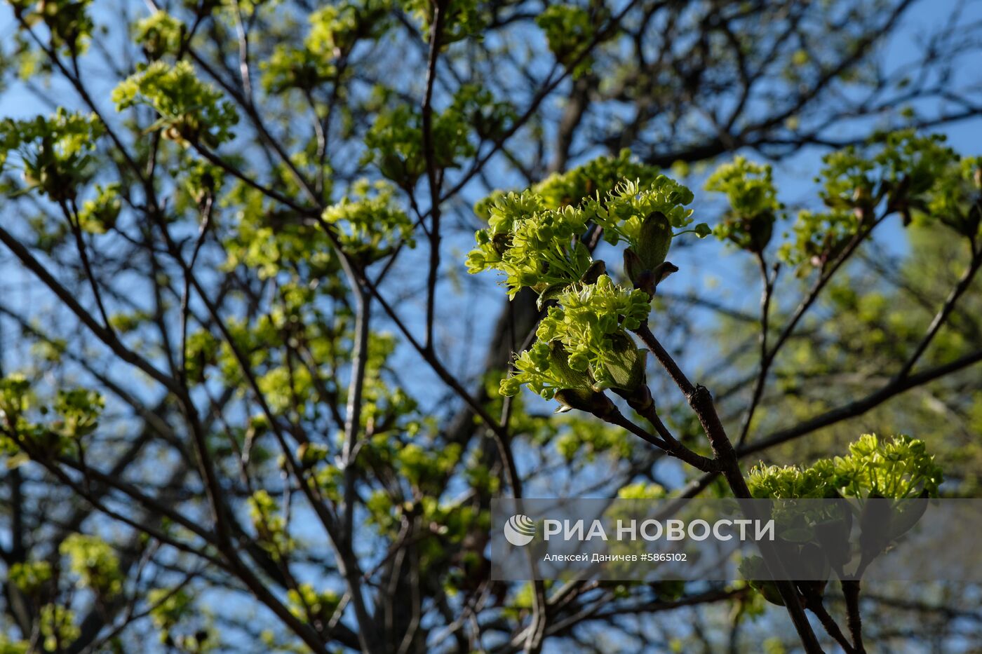 Музей-заповедник "Царское Село"