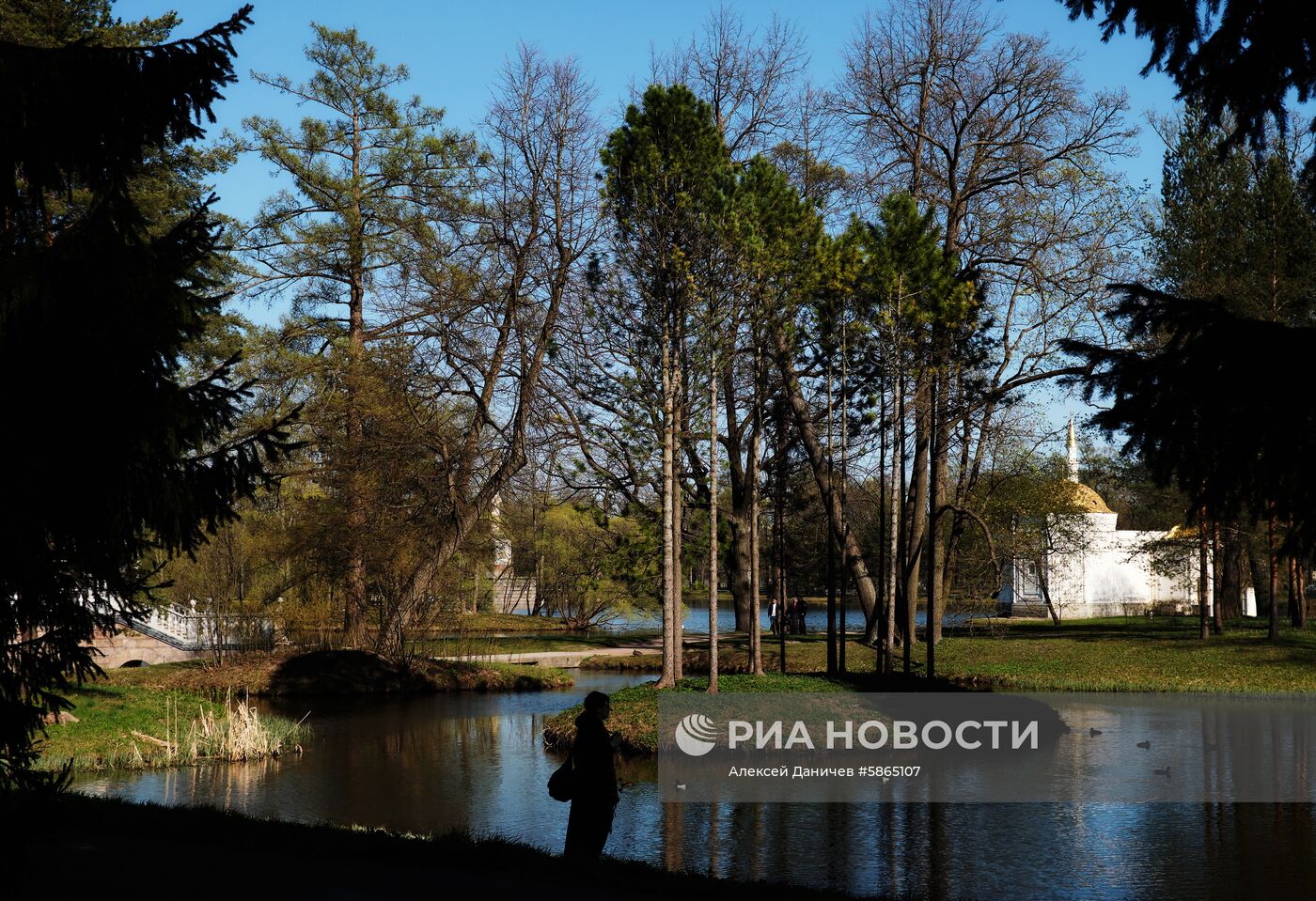 Музей-заповедник «Царское Село»