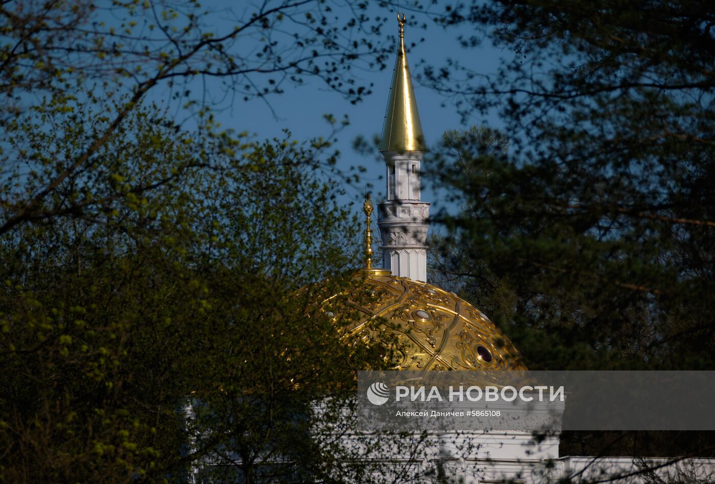 Музей-заповедник "Царское Село"