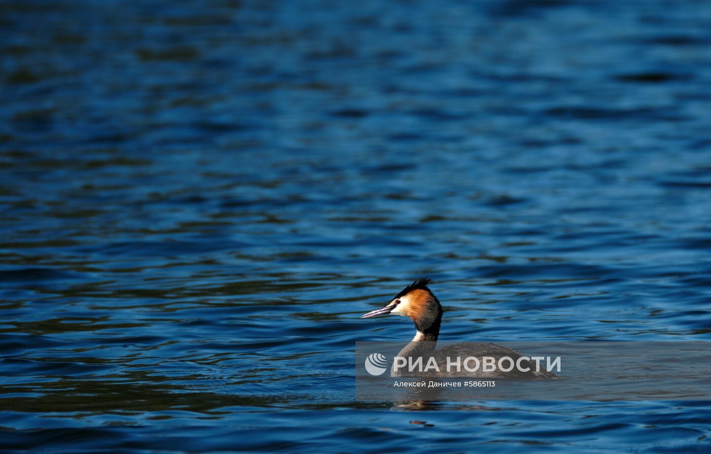 Музей-заповедник "Царское Село"