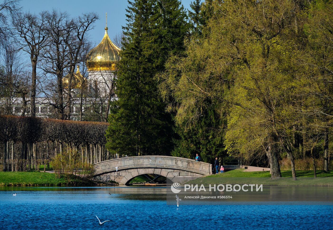 Музей-заповедник "Царское Село"