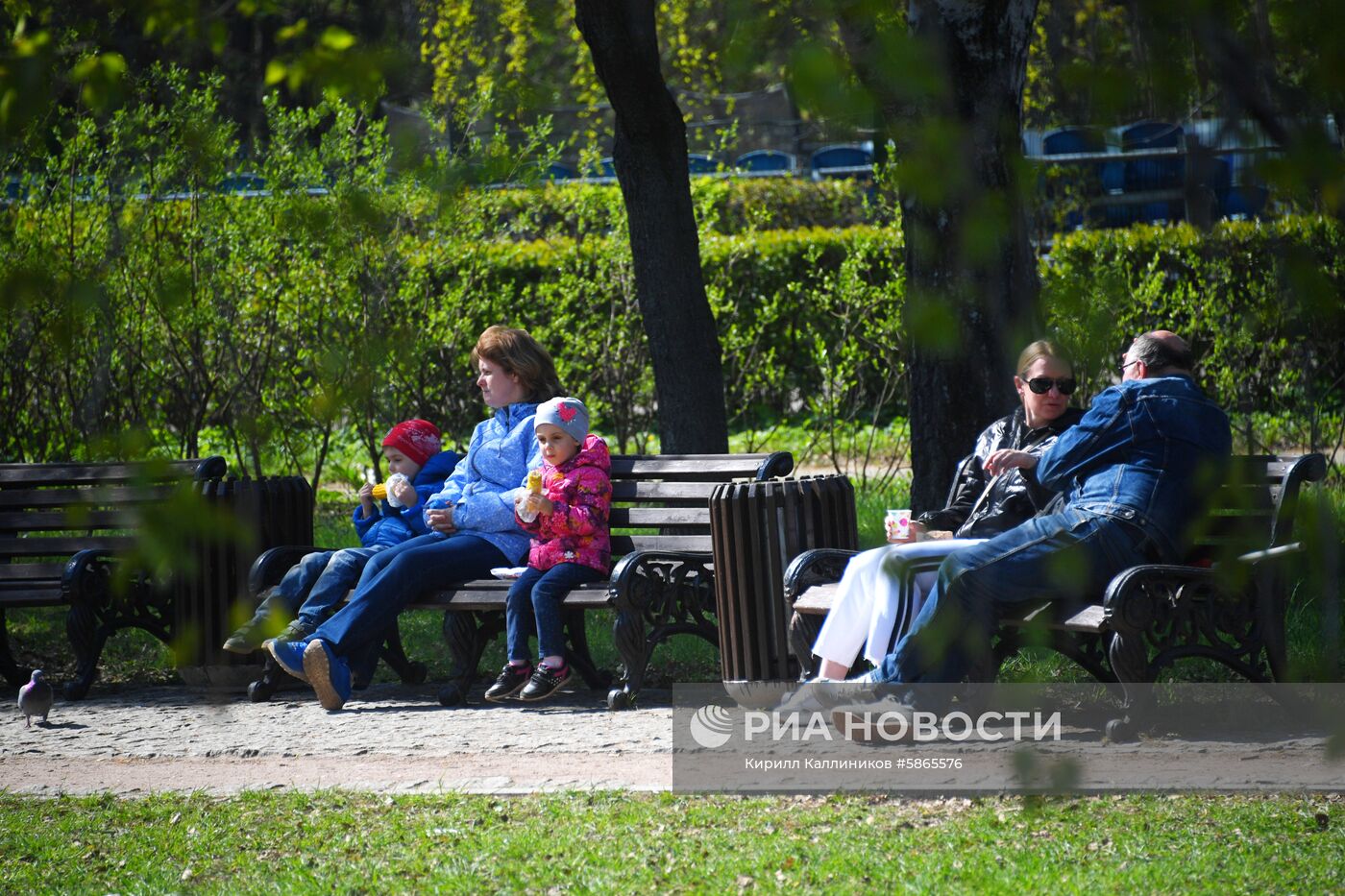 Отдых горожан в парках Москвы 