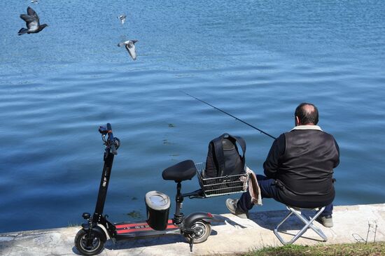 Отдых горожан в парках Москвы 