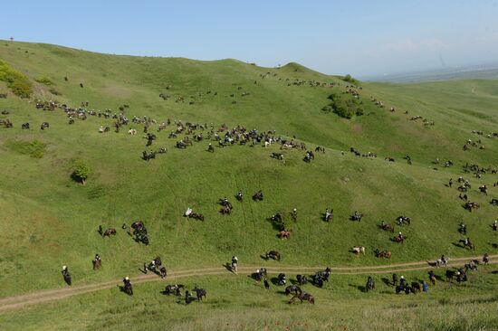 В Чечне установлен мировой рекорд по числу участников в конном походе