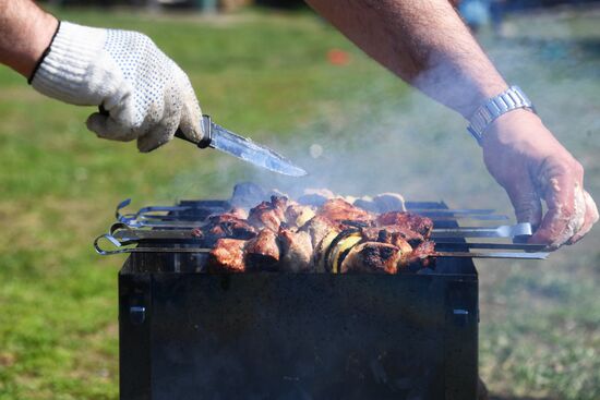 Отдых горожан в парках Москвы 