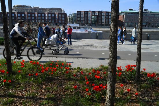 Отдых горожан в парках Москвы 