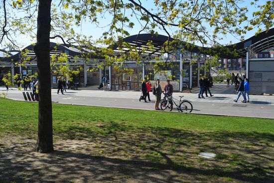 Отдых горожан в парках Москвы 