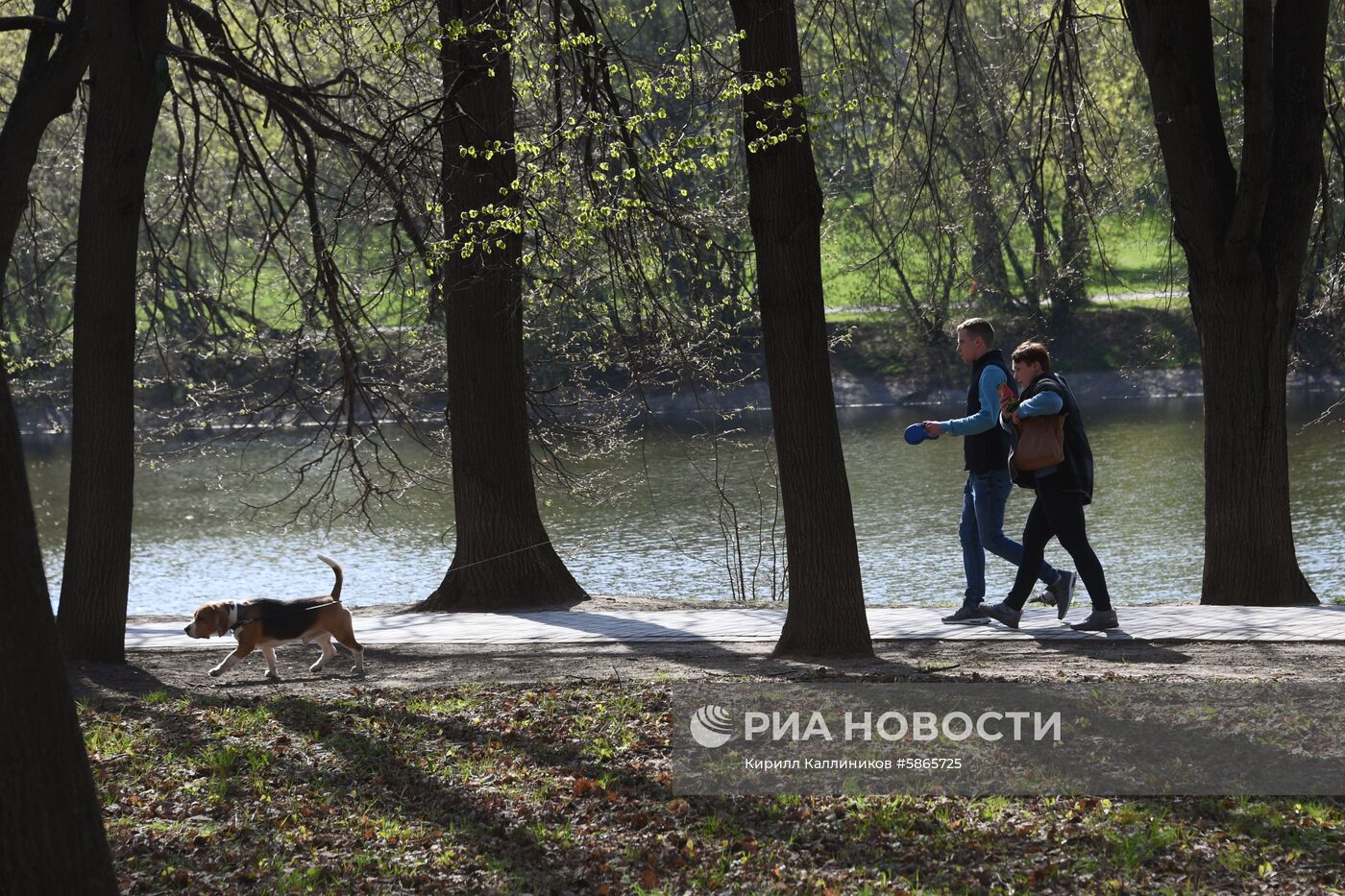 Отдых горожан в парках Москвы 