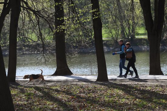Отдых горожан в парках Москвы 