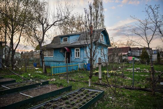 Дачный отдых москвичей