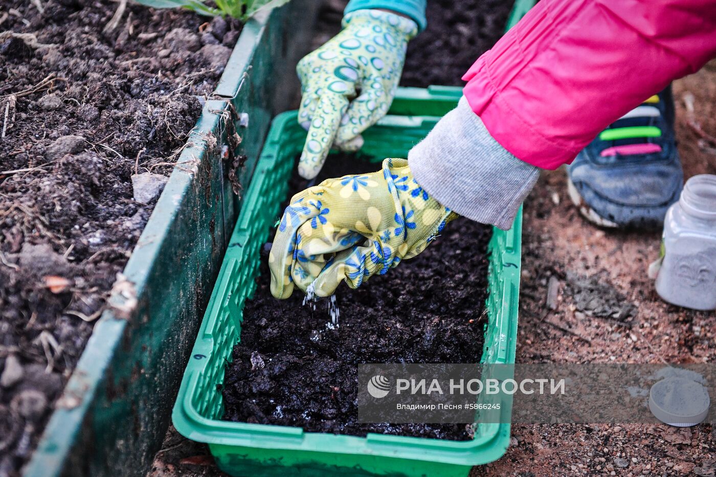 Дачный отдых москвичей