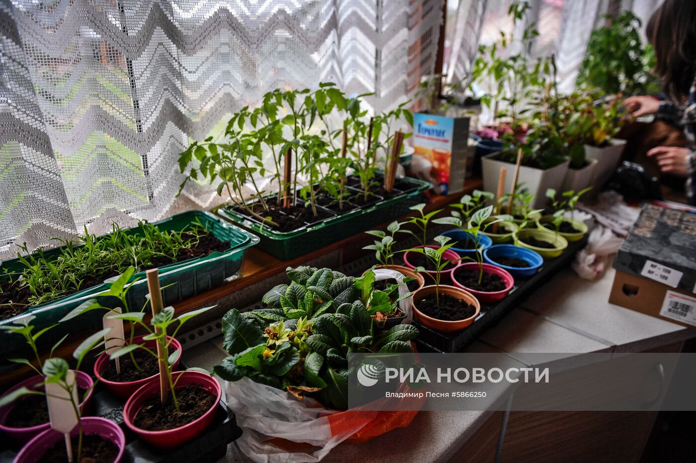 Дачный отдых москвичей