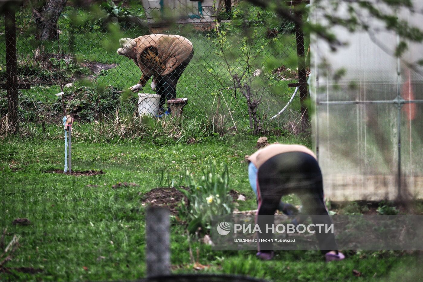 Дачный отдых москвичей