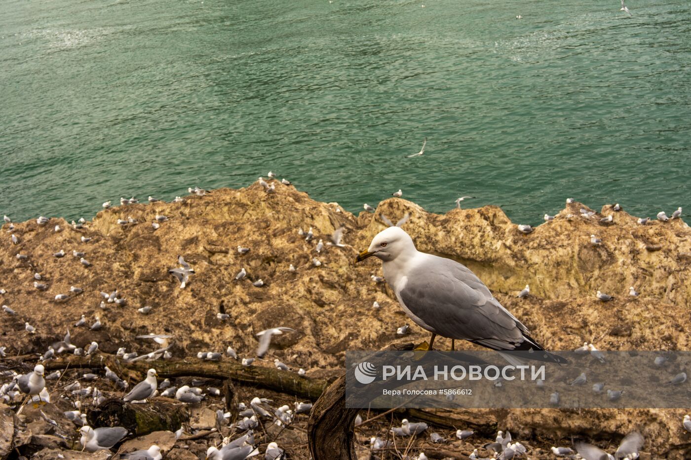 Ниагарский водопад