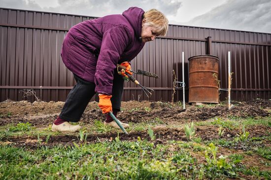 Москвичи на дачных участках в выходные дни