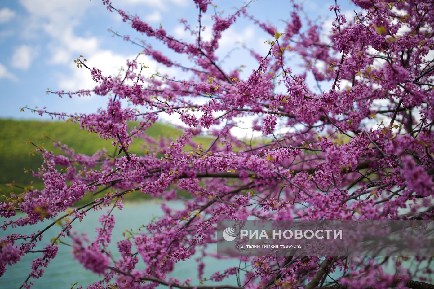 Село Абрау-Дюрсо в Краснодарском крае