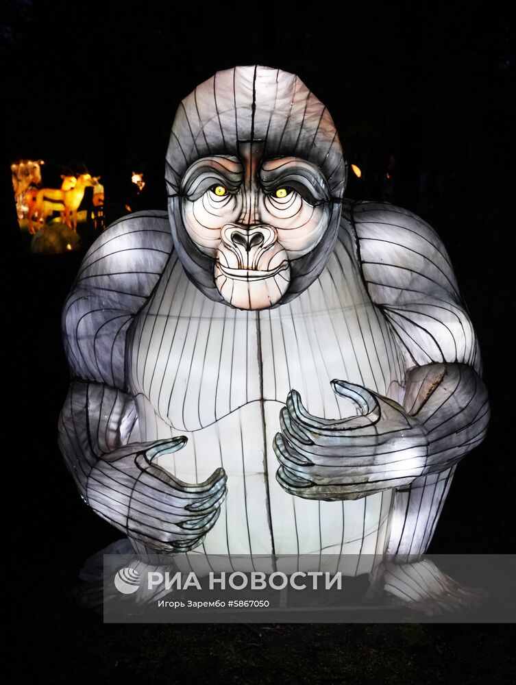 Фестиваль гигантских китайских фонарей в Калининграде