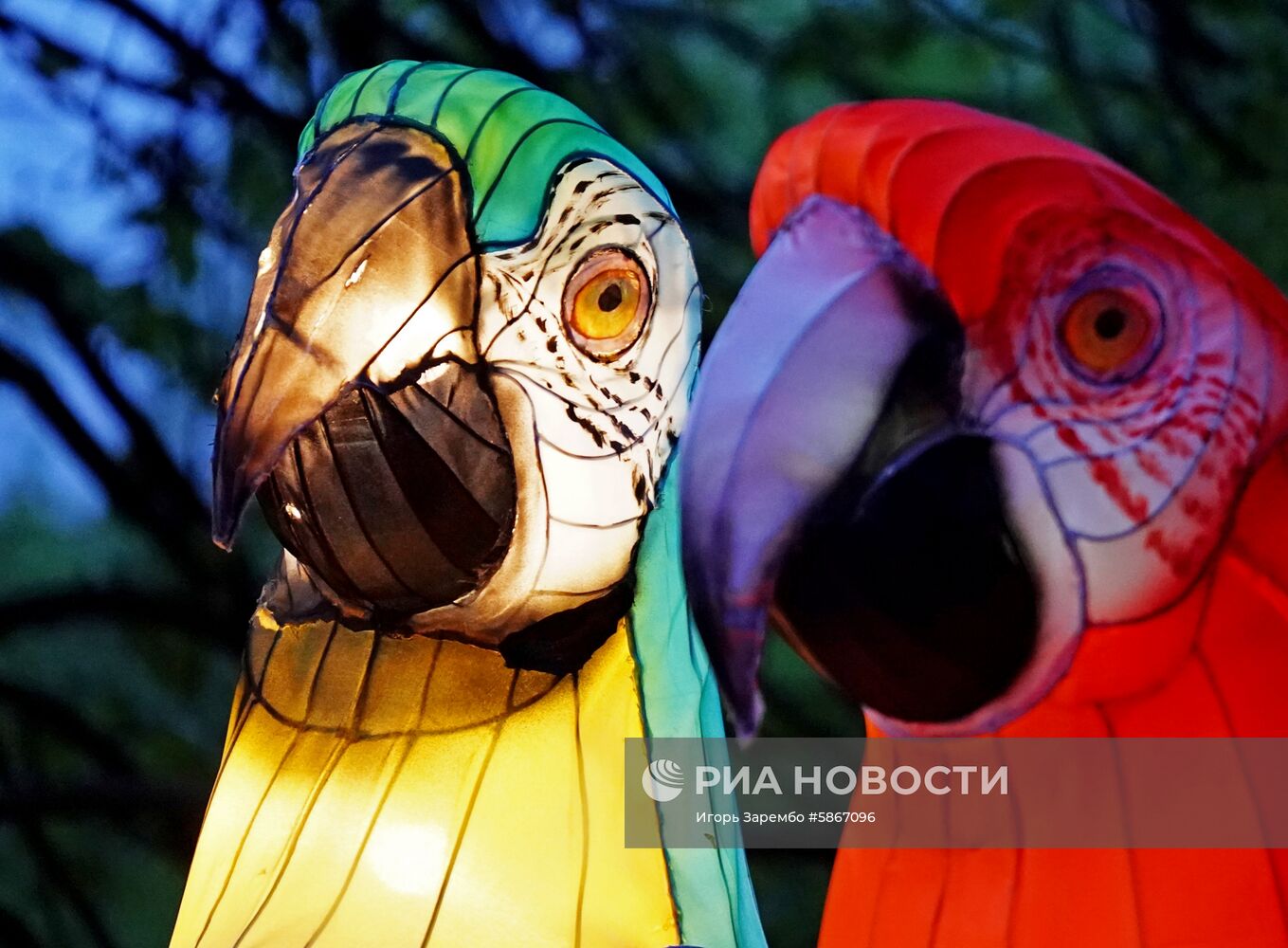 Фестиваль гигантских китайских фонарей в Калининграде