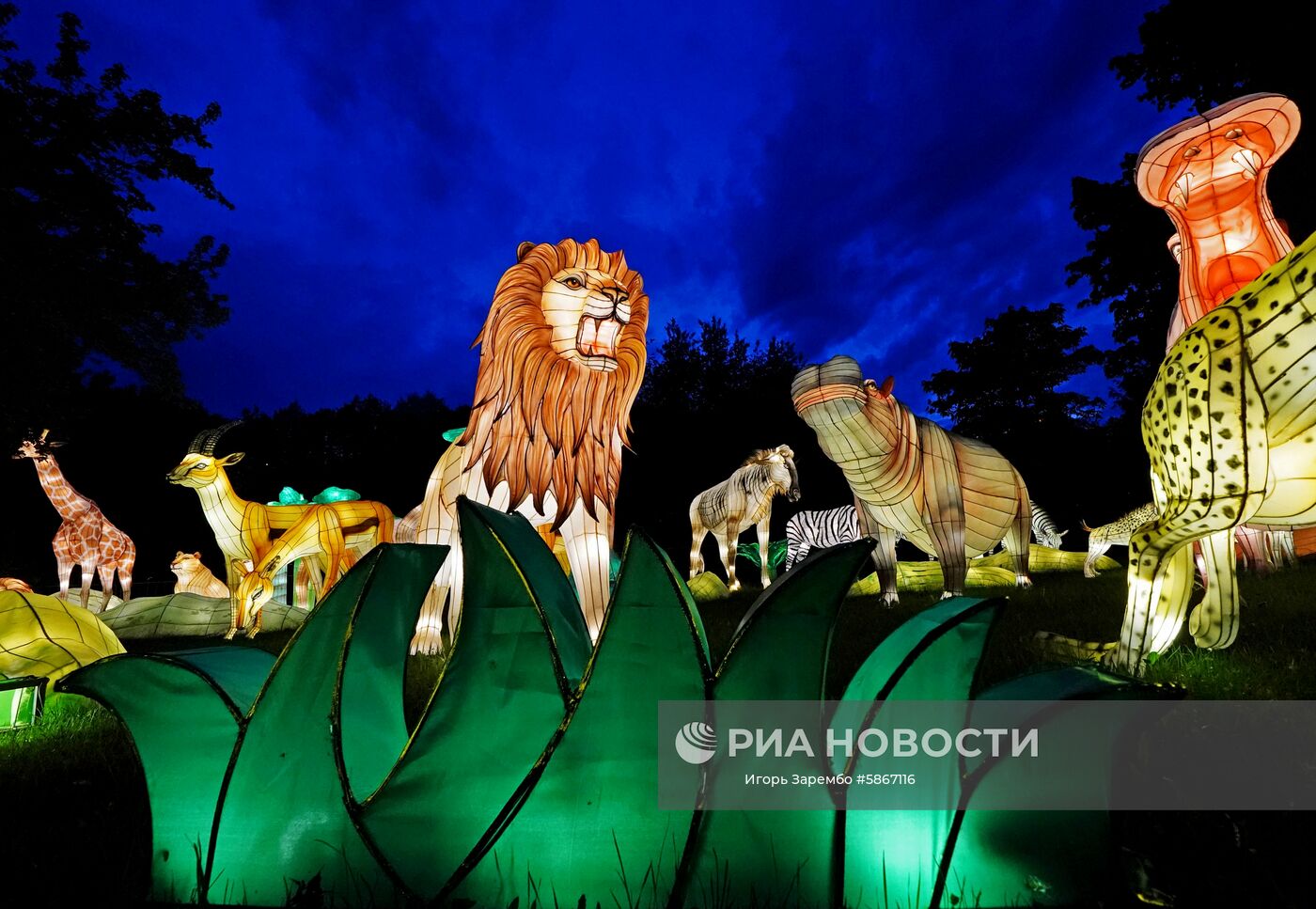 Фестиваль гигантских китайских фонарей в Калининграде