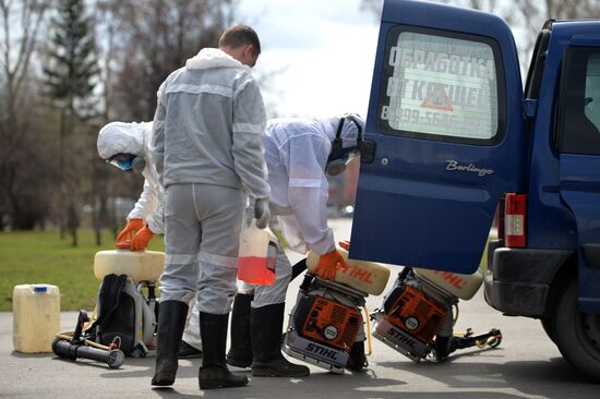 Профилактика распространения клещей в Екатеринбурге