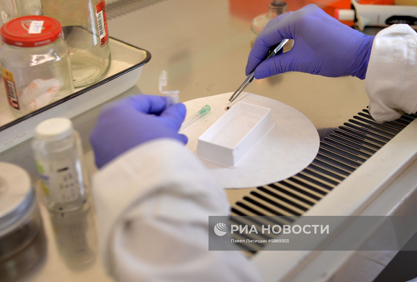 Профилактика распространения клещей в Екатеринбурге