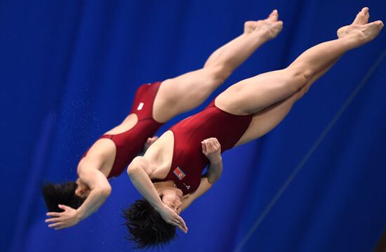 Прыжки в воду. Мировая серия FINA. Первый день 