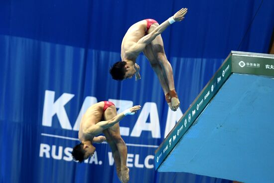 Прыжки в воду. Мировая серия FINA. Первый день 