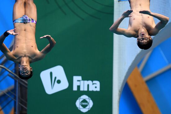 Прыжки в воду. Мировая серия FINA. Первый день 