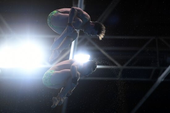 Прыжки в воду. Мировая серия FINA. Первый день 