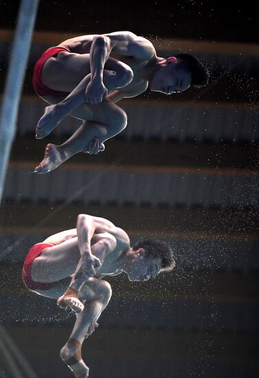 Прыжки в воду. Мировая серия FINA. Первый день 