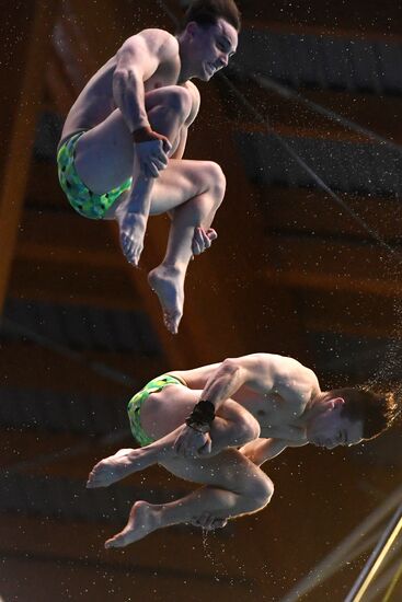 Прыжки в воду. Мировая серия FINA. Первый день 