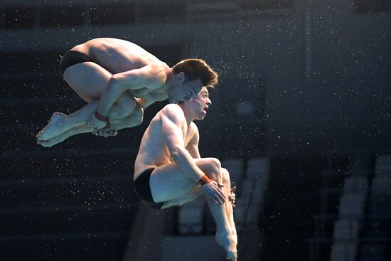 Прыжки в воду. Мировая серия FINA. Первый день 