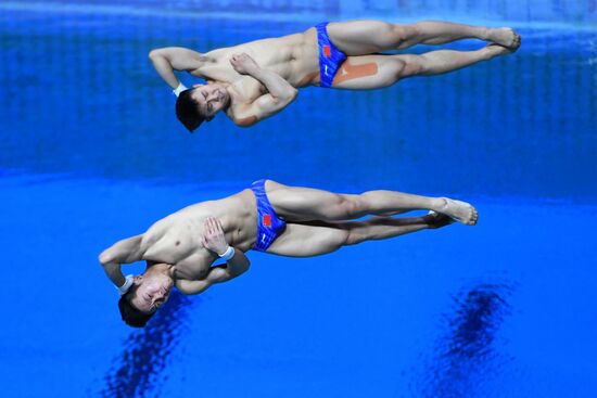 Прыжки в воду. Мировая серия FINA. Первый день 