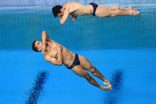 Прыжки в воду. Мировая серия FINA. Первый день 